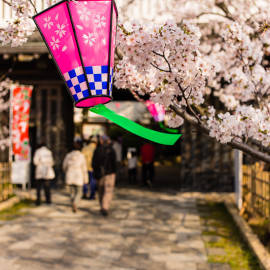 Eingang Burg Kishiwada / Sakura